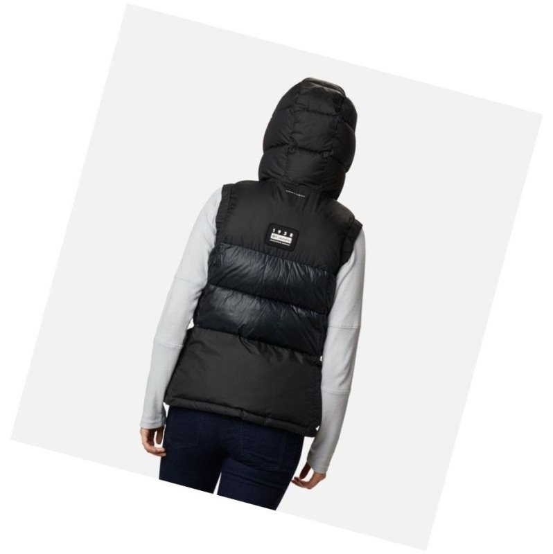 Columbia Pike Lake II Insulated Yelek Kadın Renkli | 39610-OUZP
