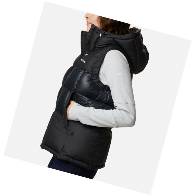 Columbia Pike Lake II Insulated Yelek Kadın Renkli | 39610-OUZP