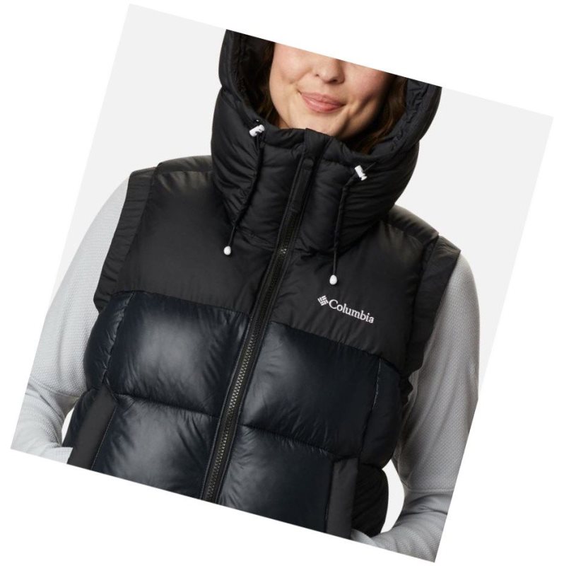 Columbia Pike Lake II Insulated Yelek Kadın Renkli | 39610-OUZP