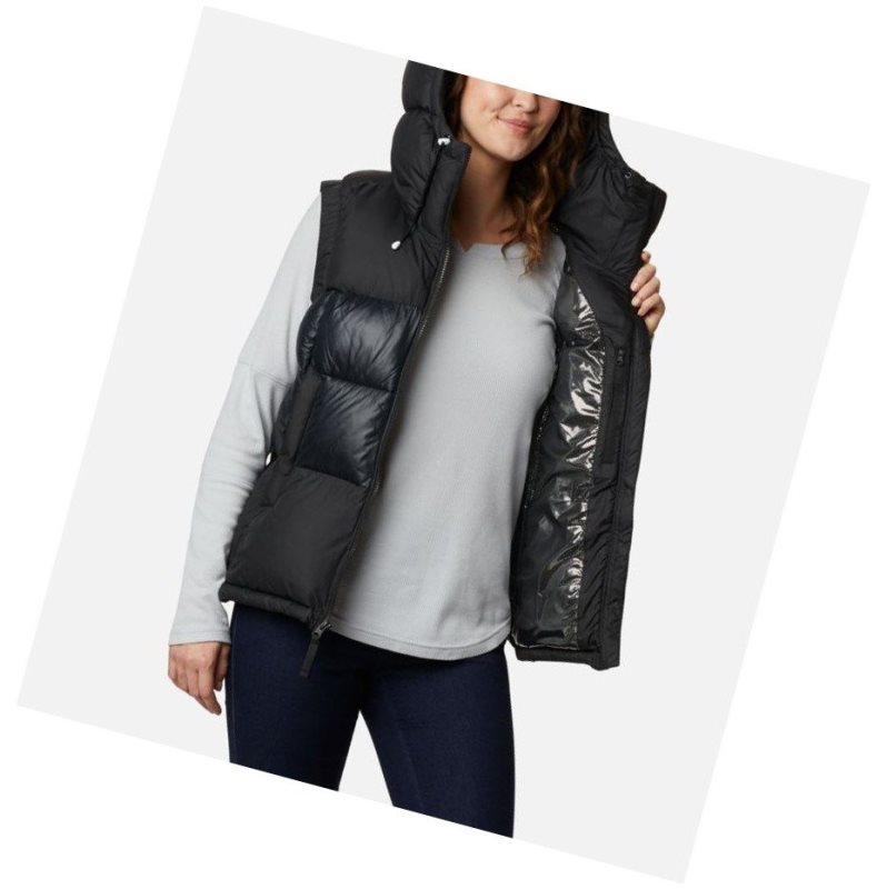 Columbia Pike Lake II Insulated Yelek Kadın Renkli | 39610-OUZP