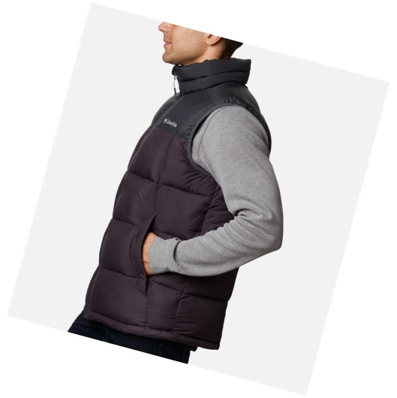 Columbia Pike Lake Yelek Erkek Koyu Mor Koyu Gri | 98706-CRXF