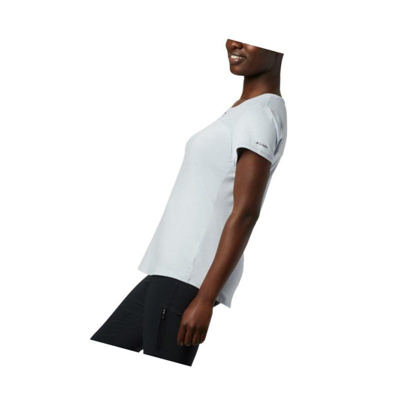 Columbia Place To Place II Short Sleeve Tişört Kadın Gri | 94185-JSCT