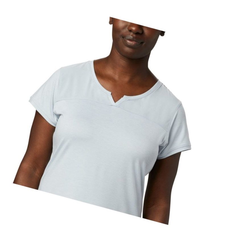 Columbia Place To Place II Short Sleeve Tişört Kadın Gri | 94185-JSCT