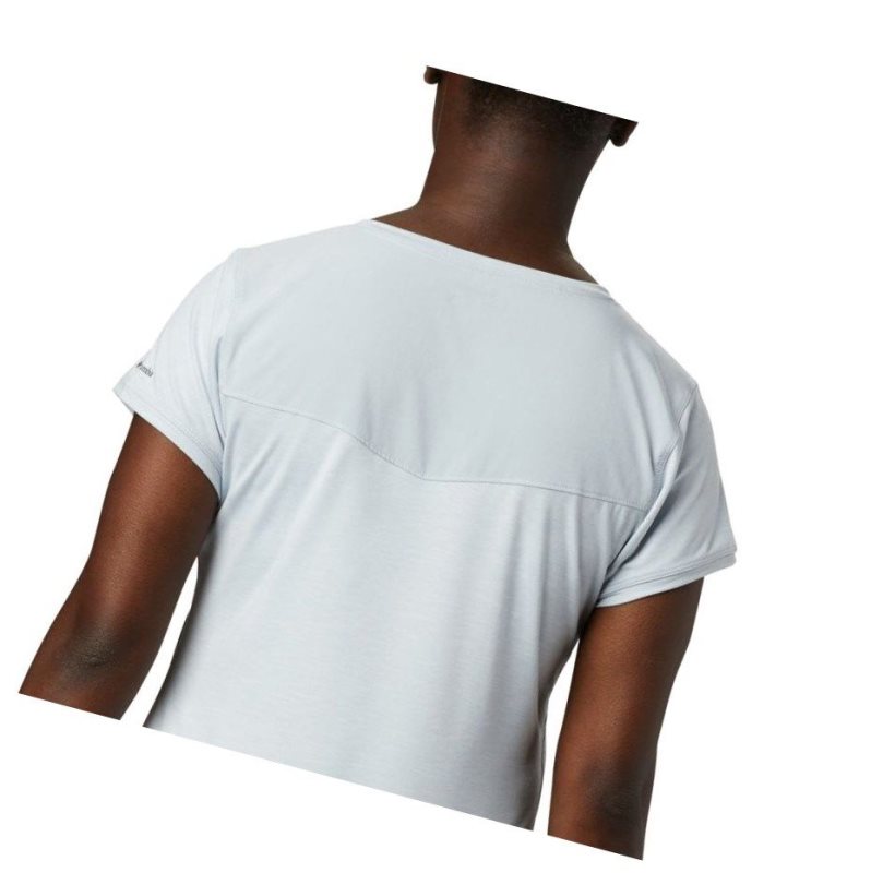 Columbia Place To Place II Short Sleeve Tişört Kadın Gri | 94185-JSCT