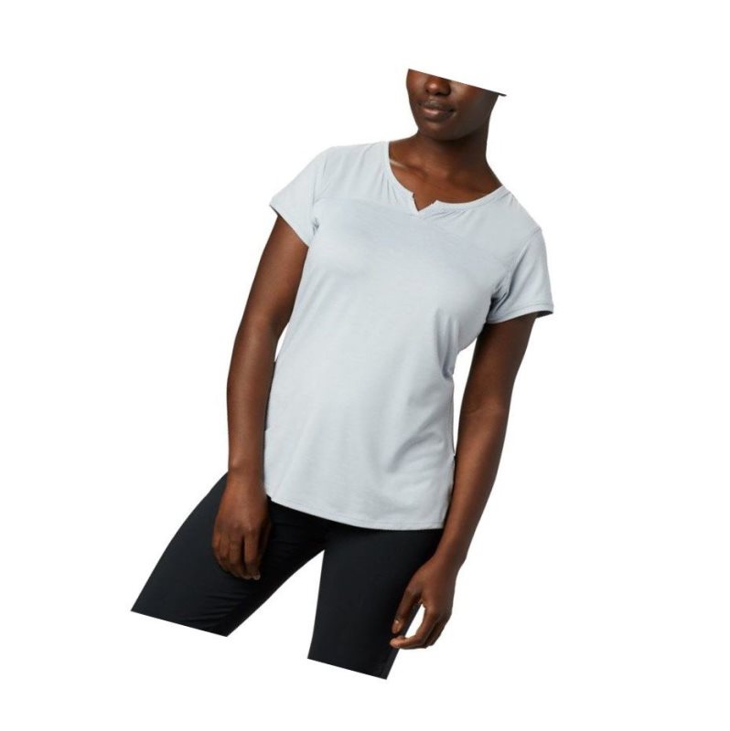 Columbia Place To Place II Short Sleeve Tişört Kadın Gri | 94185-JSCT
