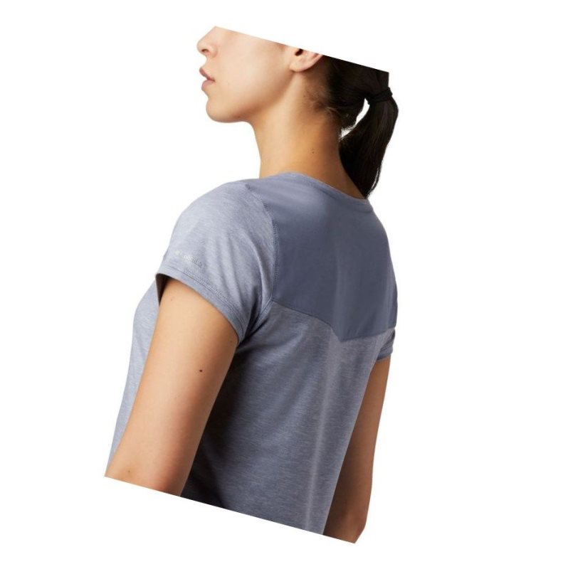 Columbia Place To Place II Short Sleeve Tişört Kadın Mor | 04135-OGUA
