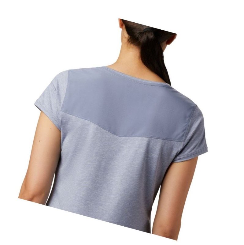 Columbia Place To Place II Short Sleeve Tişört Kadın Mor | 04135-OGUA