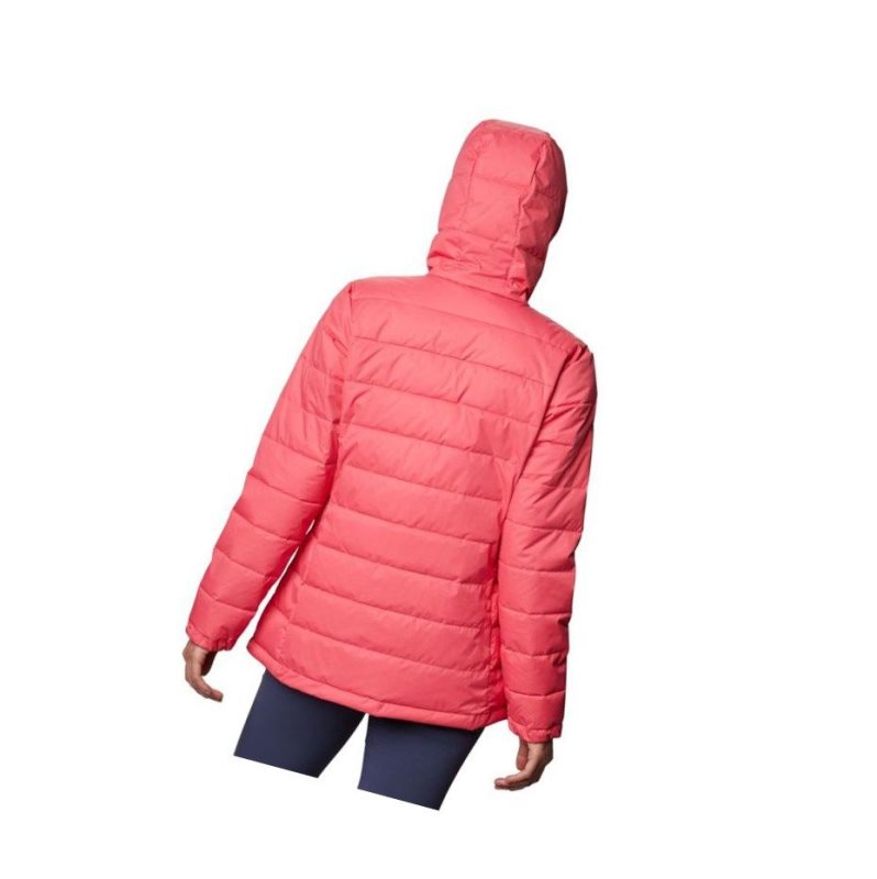 Columbia Pole Patch Pass Mont Kadın Açık Pembe | 34708-PJIM