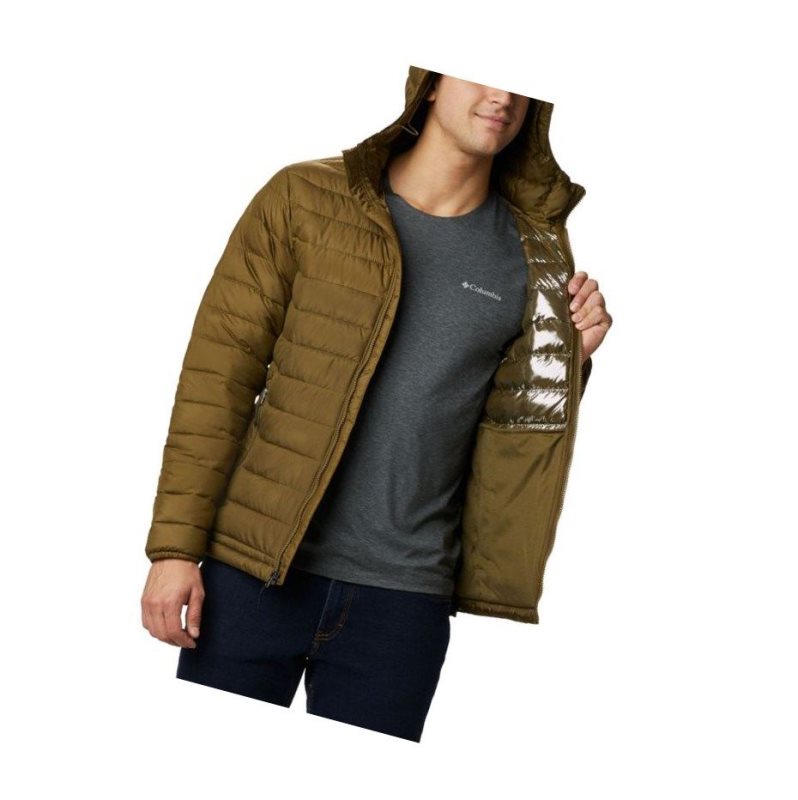 Columbia Powder Lite Hooded Insulated Mont Erkek Zeytin Yeşili Kahverengi | 04356-JTAC
