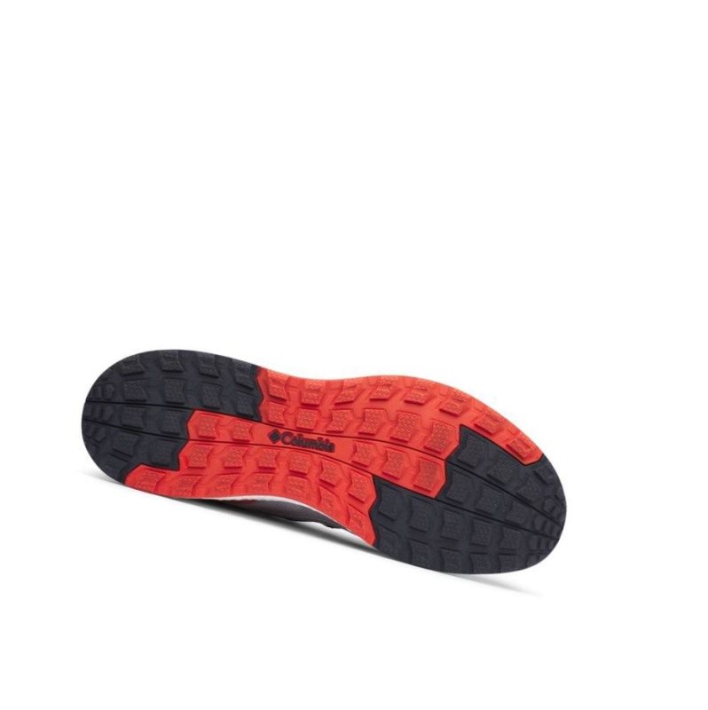 Columbia SH/FT Low Spor Ayakkabı Erkek Gri Turuncu | 76920-EVJK