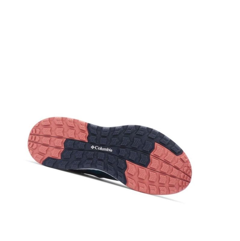 Columbia SH/FT Low Spor Ayakkabı Kadın Pembe | 04736-FQCI