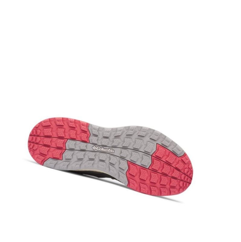 Columbia SH/FT Low Spor Ayakkabı Kadın Titanyum Kırmızı | 41835-IAPZ