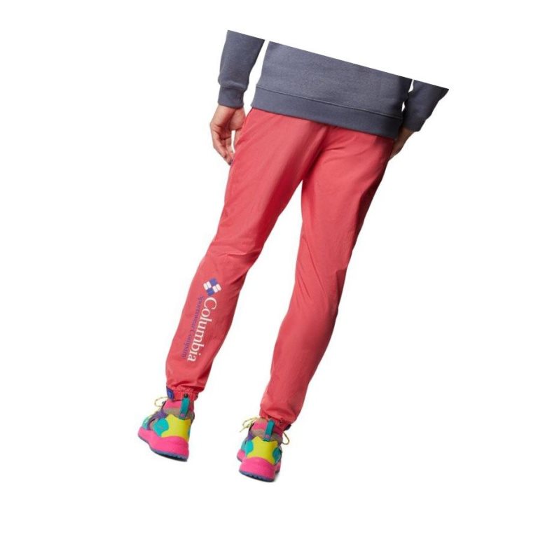 Columbia Santa Ana Wind Pantolon Erkek Açık Pembe Mavi Turkuaz | 24690-RZQX