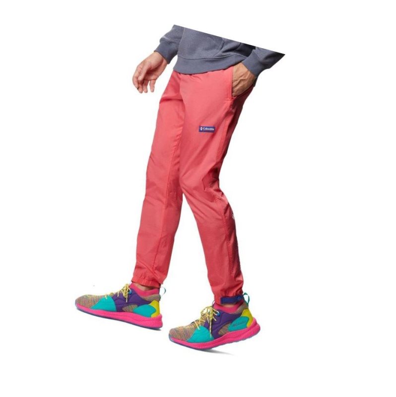 Columbia Santa Ana Wind Pantolon Erkek Açık Pembe Mavi Turkuaz | 24690-RZQX