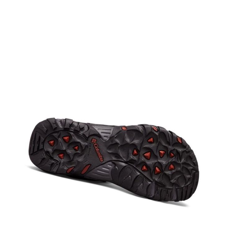 Columbia Santiam Ankle Strap Sandalet Erkek Koyu Gri | 17840-DEYO
