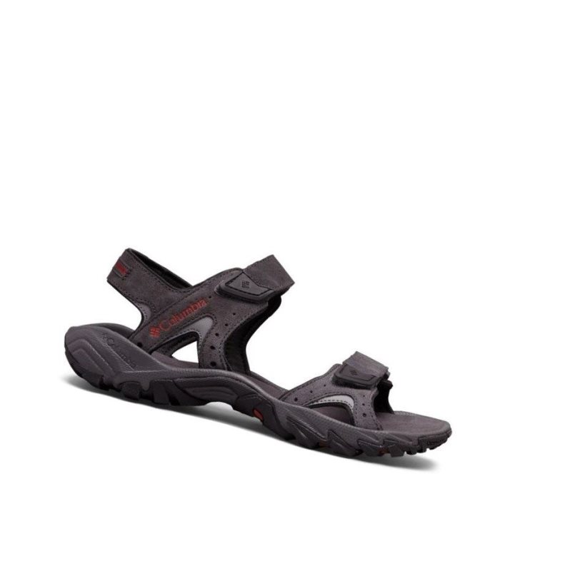 Columbia Santiam Ankle Strap Sandalet Erkek Koyu Gri | 17840-DEYO