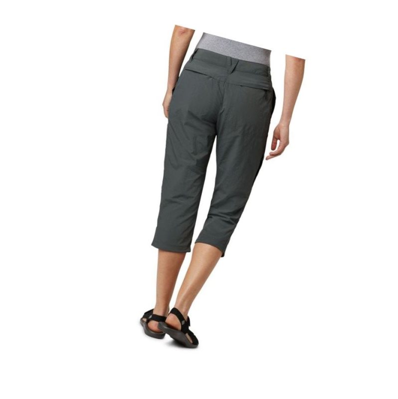 Columbia Silver Ridge 2.0 Capri Pantolon Kadın Koyu Gri | 29107-QCLG