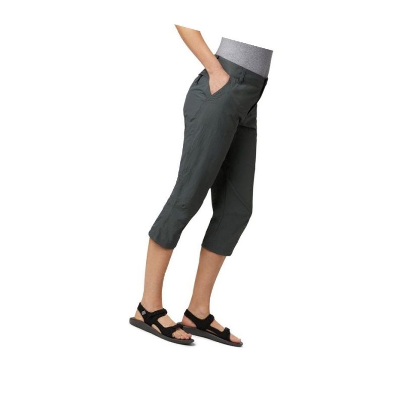 Columbia Silver Ridge 2.0 Capri Pantolon Kadın Koyu Gri | 29107-QCLG
