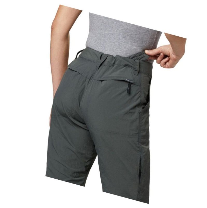 Columbia Silver Ridge 2.0 Capri Pantolon Kadın Koyu Gri | 29107-QCLG