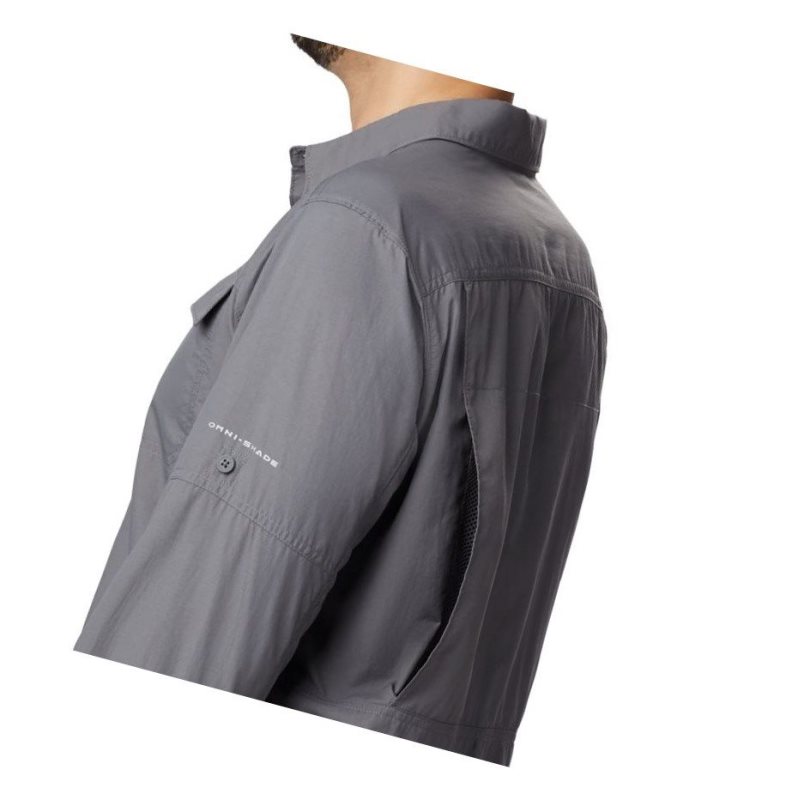Columbia Silver Ridge 2.0 Long Sleeve Gömlek Erkek Gri | 24608-TUYX