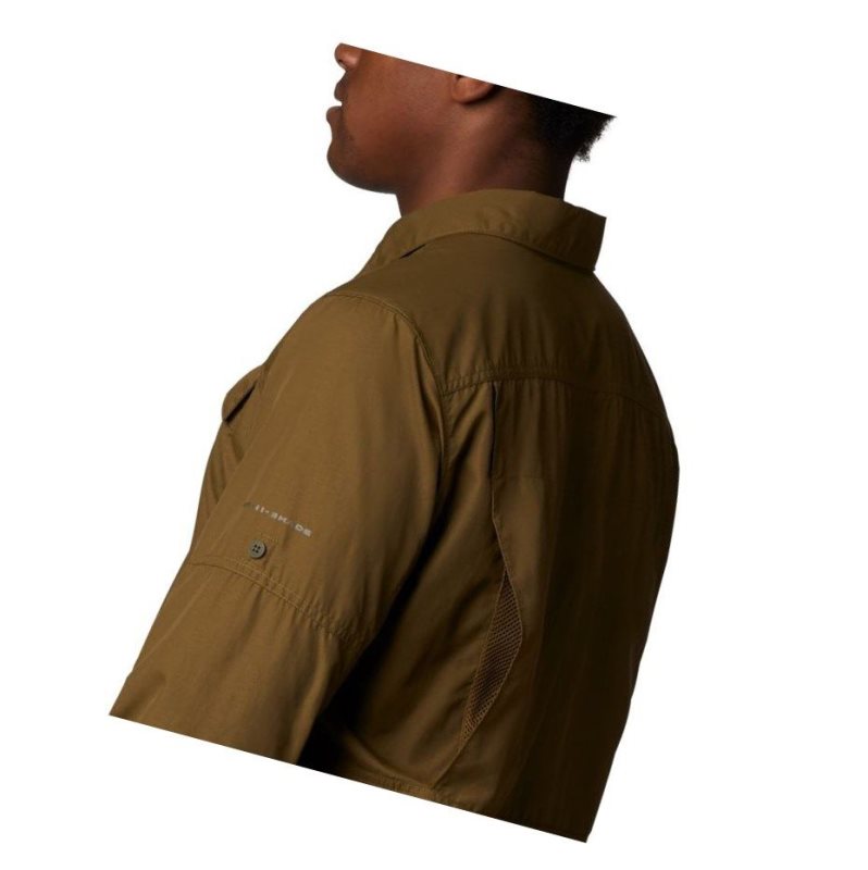 Columbia Silver Ridge 2.0 Long Sleeve Tall Gömlek Erkek Zeytin Yeşili Kahverengi | 37496-YNVJ