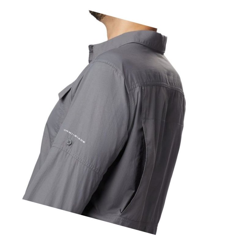 Columbia Silver Ridge 2.0 Long Sleeve Tall Gömlek Erkek Gri | 20657-ZQLY