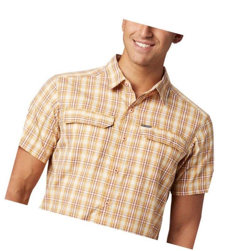 Columbia Silver Ridge 2.0 Multi Plaid Short Sleeve Gömlek Erkek Renkli | 23957-NKUQ
