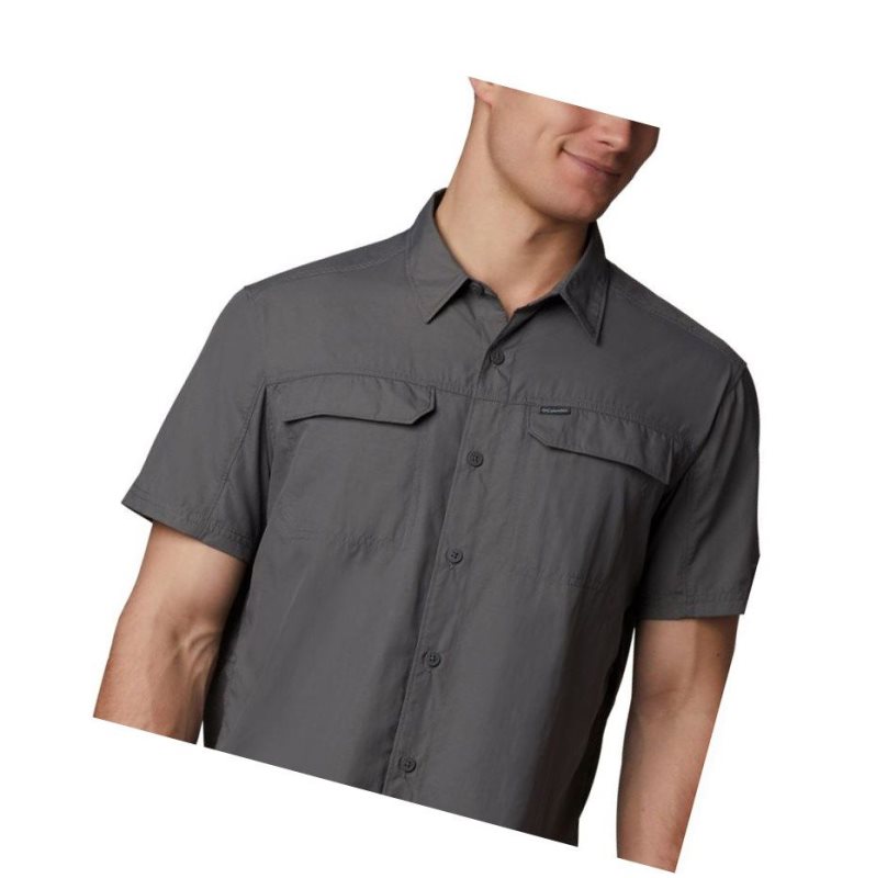 Columbia Silver Ridge 2.0 Short Sleeve Tall Gömlek Erkek Gri | 87925-HRAJ