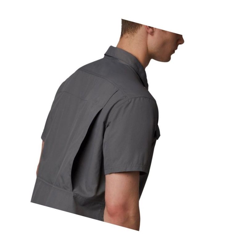 Columbia Silver Ridge 2.0 Short Sleeve Tall Gömlek Erkek Gri | 87925-HRAJ