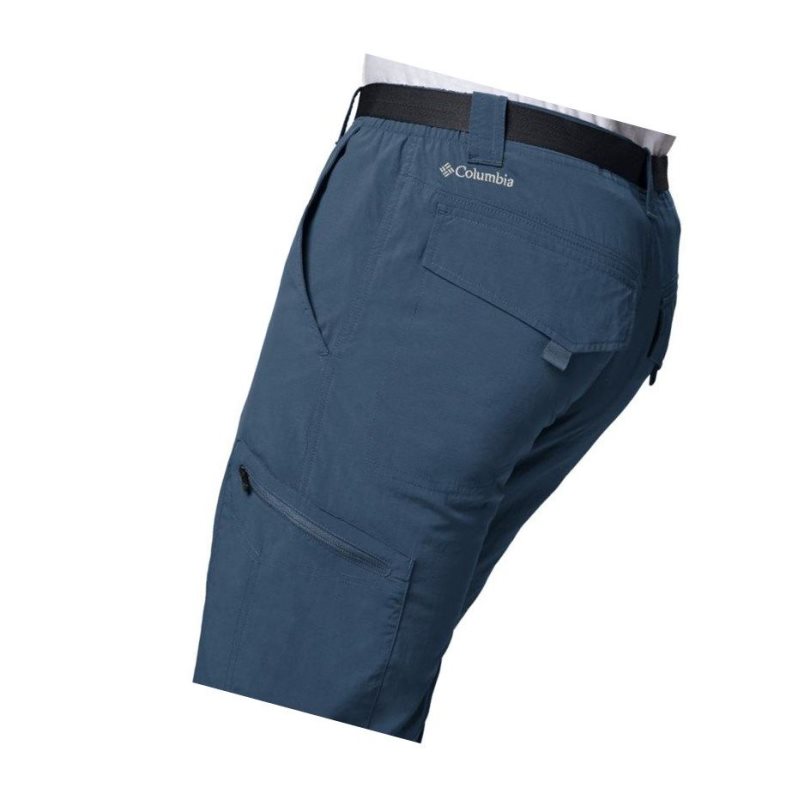 Columbia Silver Ridge Cargo Pantolon Erkek Koyu Mavi | 39174-GYAX