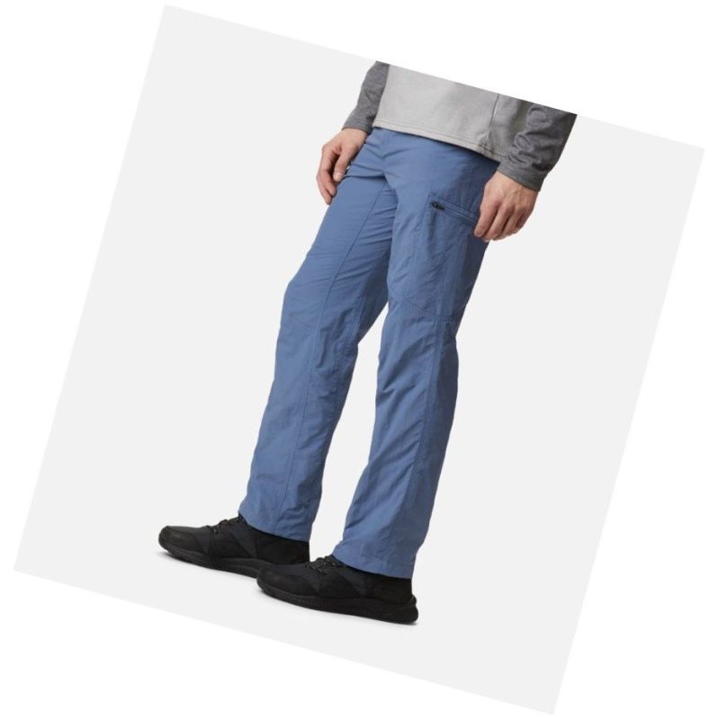 Columbia Silver Ridge Cargo Pantolon Erkek Gri Mavi | 35071-BXAT