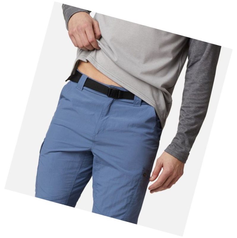 Columbia Silver Ridge Cargo Pantolon Erkek Gri Mavi | 35071-BXAT