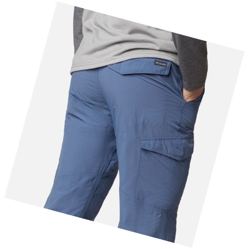 Columbia Silver Ridge Cargo Pantolon Erkek Gri Mavi | 35071-BXAT