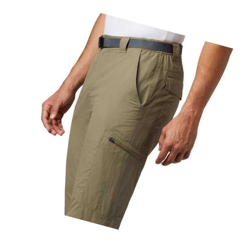 Columbia Silver Ridge Cargo Pantolon Erkek Zeytin Yeşili | 91702-TRGF