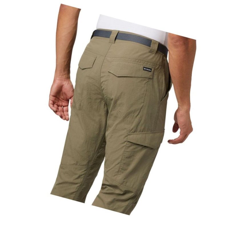 Columbia Silver Ridge Cargo Pantolon Erkek Zeytin Yeşili | 91702-TRGF