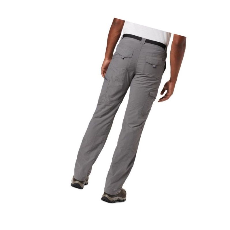 Columbia Silver Ridge Cargo Pantolon Erkek Gri | 90362-EZGK