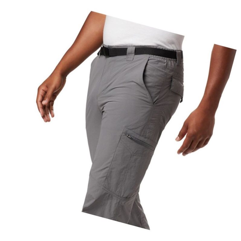 Columbia Silver Ridge Cargo Pantolon Erkek Gri | 90362-EZGK