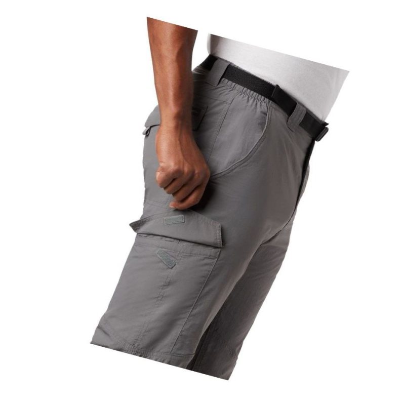 Columbia Silver Ridge Cargo Pantolon Erkek Gri | 90362-EZGK