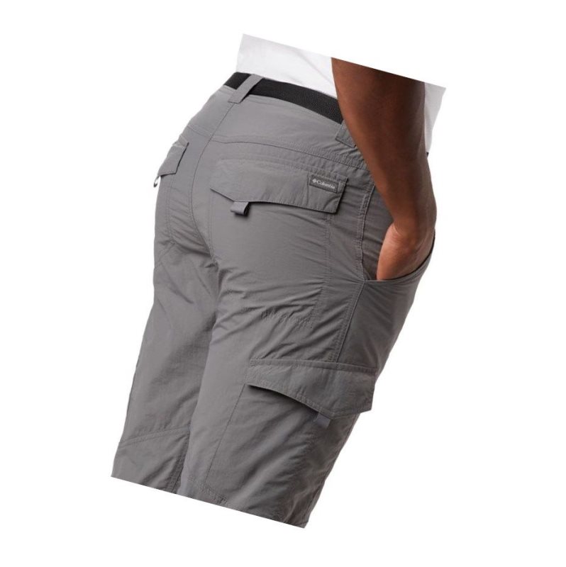 Columbia Silver Ridge Cargo Pantolon Erkek Gri | 90362-EZGK
