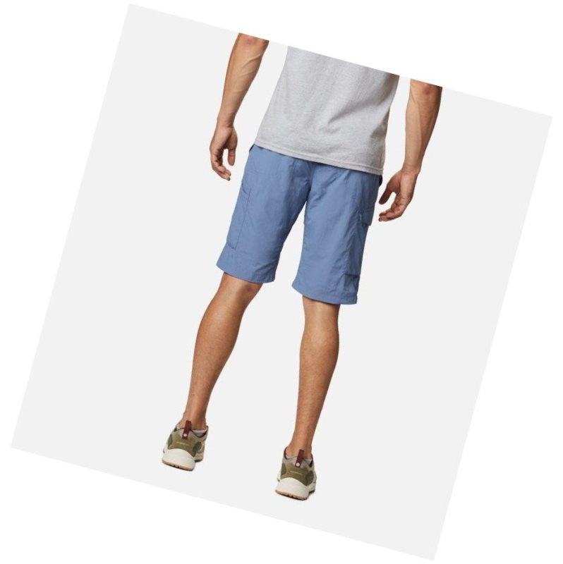 Columbia Silver Ridge Cargo Şort Erkek Gri Mavi | 70859-VONZ