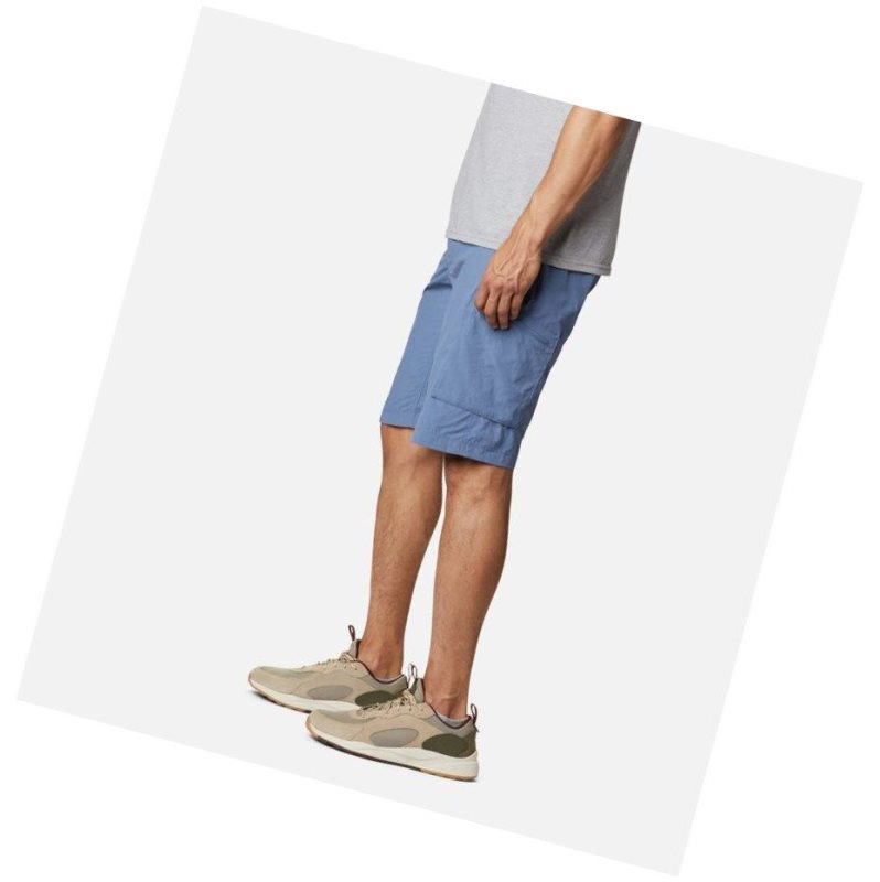 Columbia Silver Ridge Cargo Şort Erkek Gri Mavi | 70859-VONZ