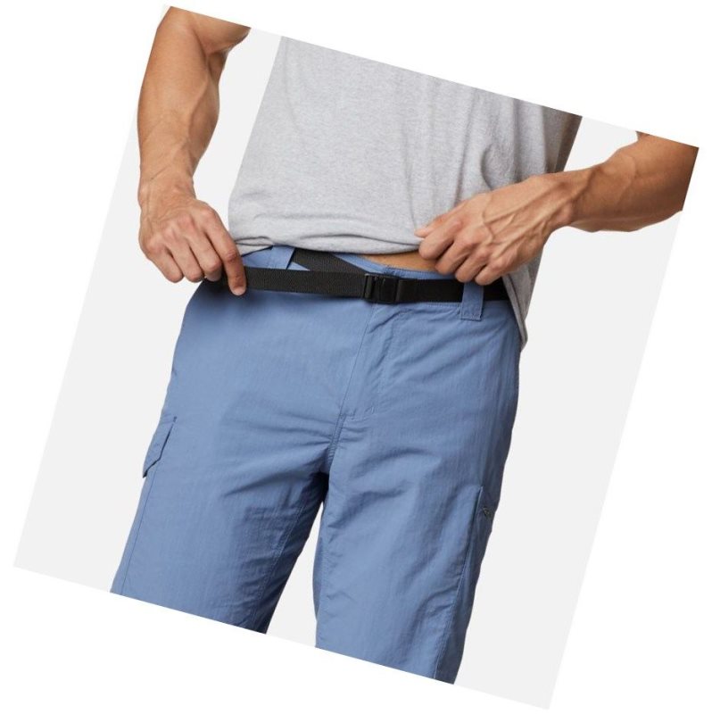 Columbia Silver Ridge Cargo Şort Erkek Gri Mavi | 70859-VONZ