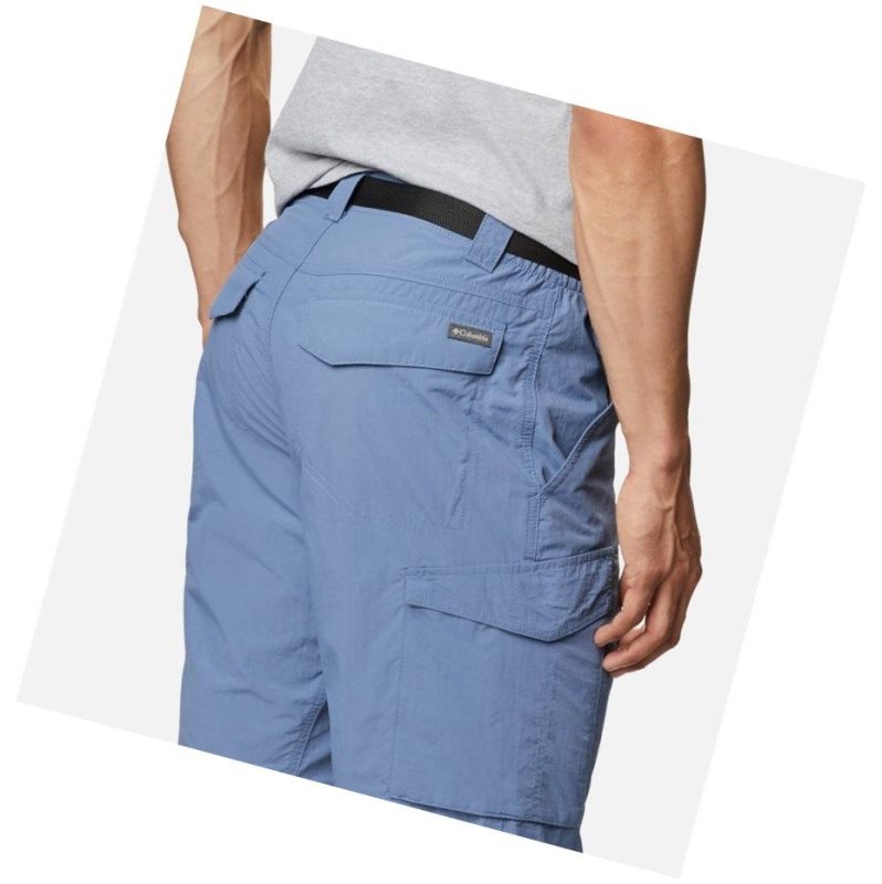 Columbia Silver Ridge Cargo Şort Erkek Gri Mavi | 70859-VONZ