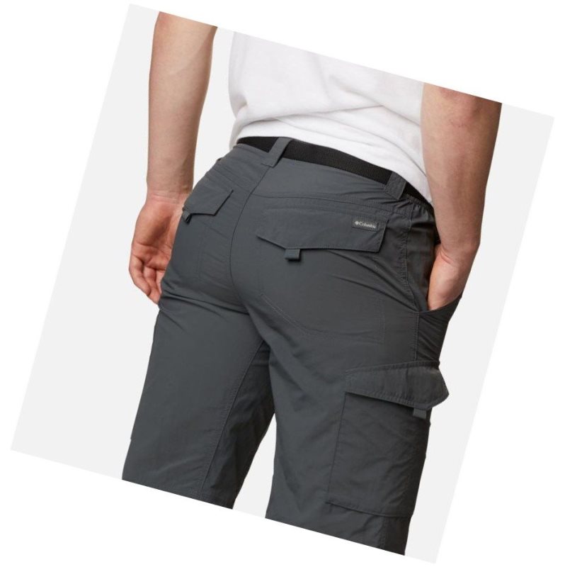 Columbia Silver Ridge Cargo Şort Erkek Koyu Gri | 78356-ZKFM