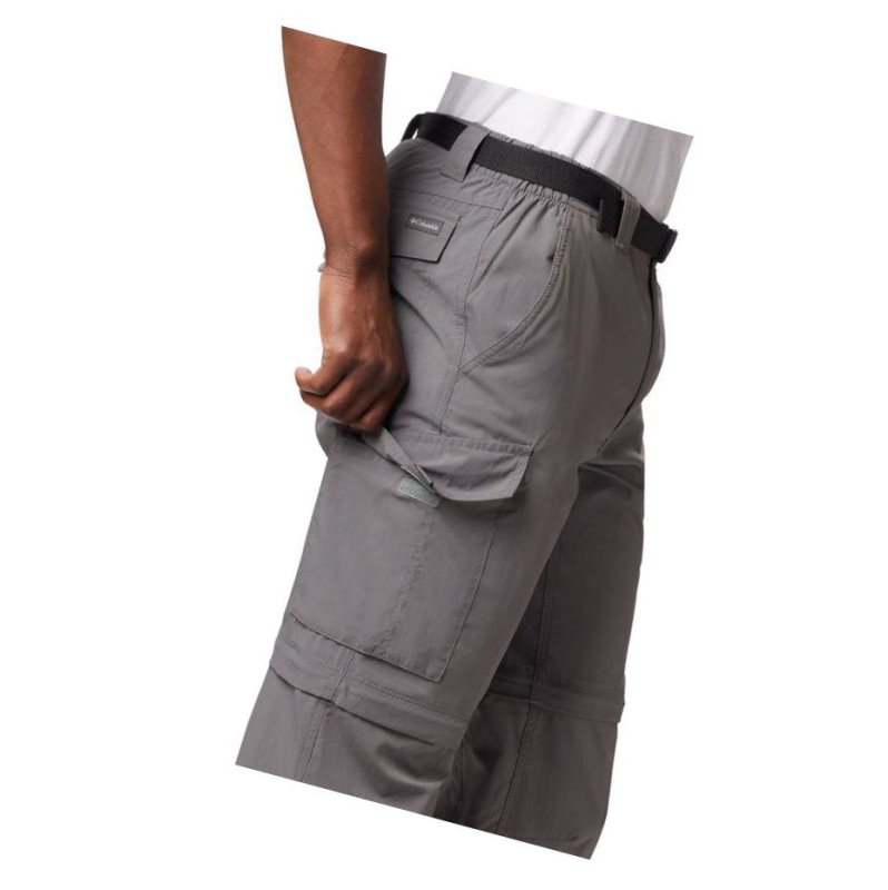 Columbia Silver Ridge Convertible Big Pantolon Erkek Gri | 29874-RLVH