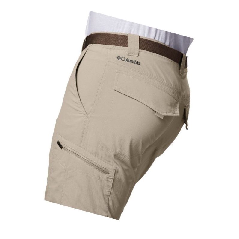 Columbia Silver Ridge Convertible Big Pantolon Erkek Haki | 85927-RKEO