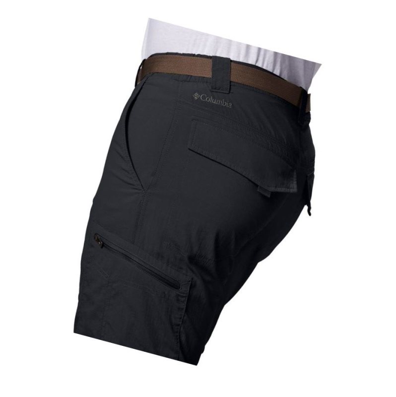 Columbia Silver Ridge Convertible Pantolon Erkek Siyah | 74203-KAQB
