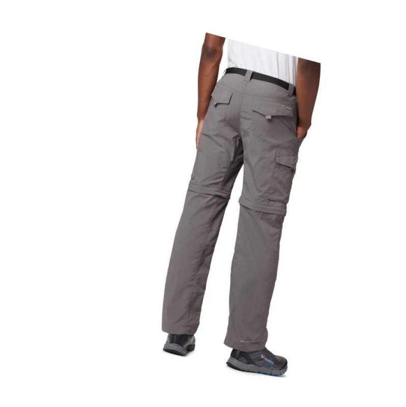 Columbia Silver Ridge Convertible Pantolon Erkek Gri | 34892-DWEB