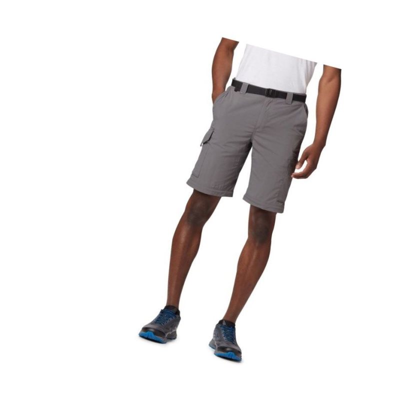 Columbia Silver Ridge Convertible Pantolon Erkek Gri | 34892-DWEB