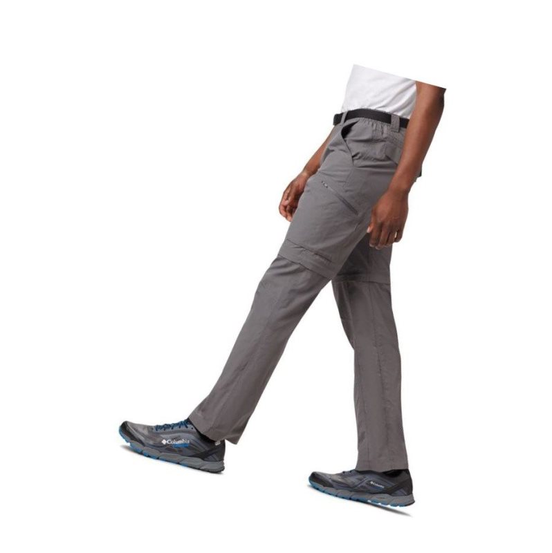 Columbia Silver Ridge Convertible Pantolon Erkek Gri | 34892-DWEB